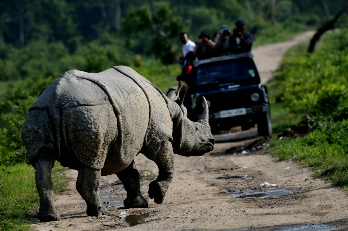 Kaziranga Tours